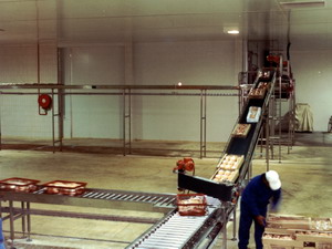 Poultry Industry Conveyors